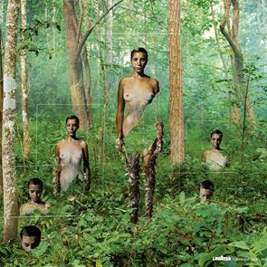 Η φύση ως τέχνη στο Ημερολόγιο του 2019 της Lavazza &quot;Good to Earth