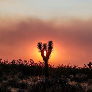 Καταστροφές ρεκόρ στην Καλιφόρνια από τις φετινές πυρκαγιές