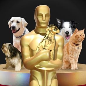 Τετράποδοι και μη, πρωταγωνιστές που αξίζουν βραβείο Όσκαρ