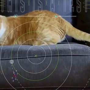 Η NASA μετέδωσε βίντεο μίας γάτας από το διάστημα