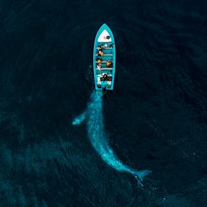 Οι ομορφότερες φωτογραφίες με drone για το 2020