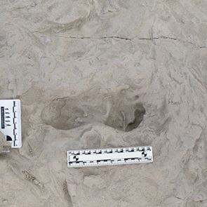 Μεγάλη ανακάλυψη: Δύο είδη ανθρωπίνων ζούσαν μαζί πριν 1,5 εκατ. χρόνια