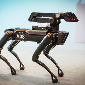 Το πρώτο ρομπότ-κατοικίδιο είναι γεγονός