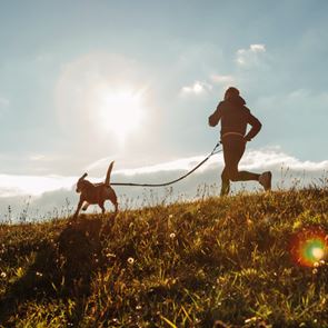 To Canicross είναι η καλύτερη &lt;em>προπόνηση&lt;/em> για σένα και τον σκύλο σου