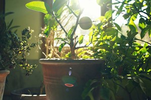 6 τρόποι για να χαλιναγωγήσεις το στρες των γιορτών