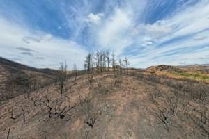 Ένα πυρηνικό εργοστάσιο νέας γενιάς έρχεται με την υπογραφή του Bill Gates