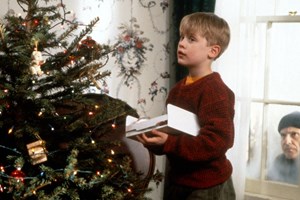 Για ποιον λόγο συνελήφθη πρωταγωνιστής του Home Alone