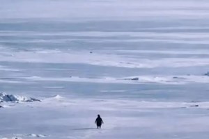 Moltbook: Το περίεργο κοινωνικό δίκτυο που απευθύνεται αποκλειστικά σε AI