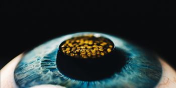 Τι μας αφήνει πίσω το 2025 σε μπαρ, εστιατόρια, φαγητό και ποτό