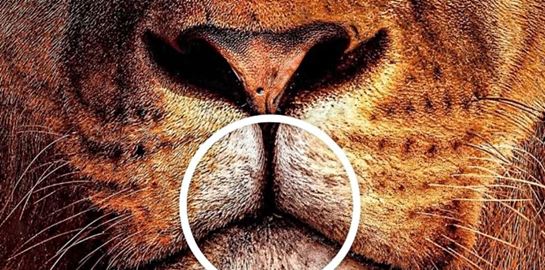 Η διαφημιστική καμπάνια φίρμας αυτοκινήτων που έγινε viral