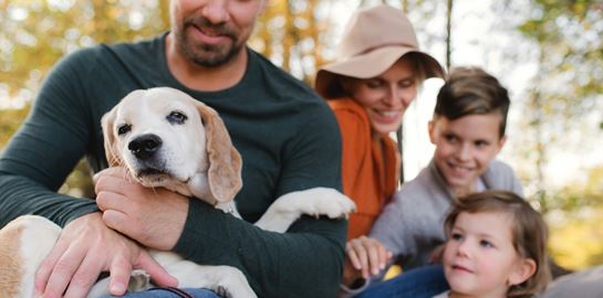 Πώς θα διαλέξετε τον πιο ταιριαστό σκύλο για την οικογένεια