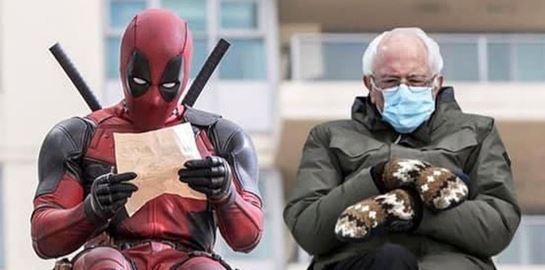 Ο Bernie Sanders διασκεδάζει με τα memes