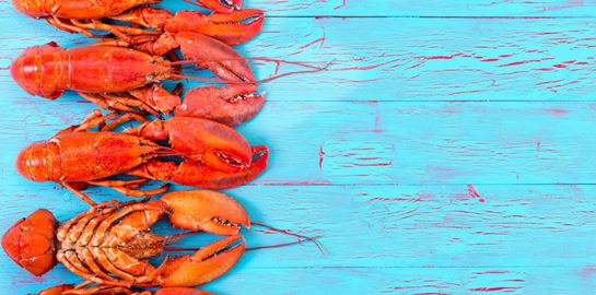 Γιατί ο αστακός πρέπει να μαγειρεύεται ζωντανός