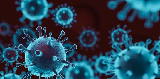 Πώς θα μπορούσαμε να αποφύγουμε αυτή την πανδημία αλλά και μία μελλοντική