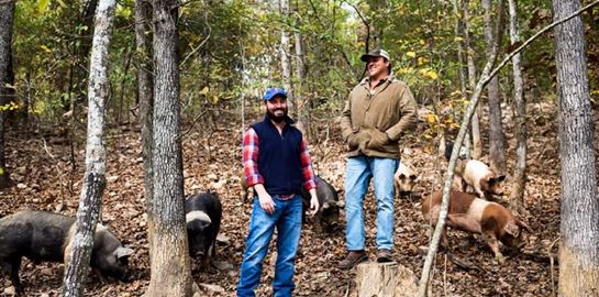 3 start-ups ανθίζουν εν μέσω πανδημίας