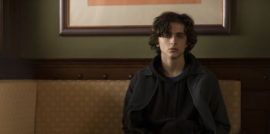 Θα είναι το 2019 η χρονιά του Timothée Chalamet;