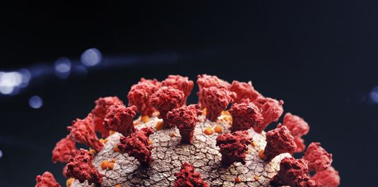 Και μετά τον κορονοϊό, ο Τσαπάρε