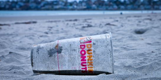 Είμαστε οικολόγοι για να σώσουμε τον πλανήτη ή τον εαυτό μας;