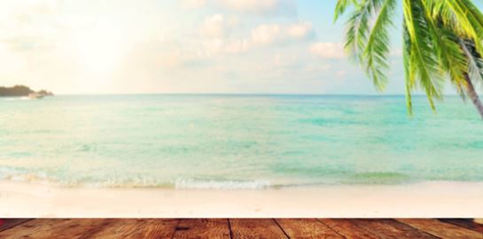 Οργανωμένες παραλίες, οι κανόνες λειτουργίας τους