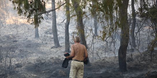 Χρήσιμες τηλεφωνικές γραμμές για τους πυρόπληκτους