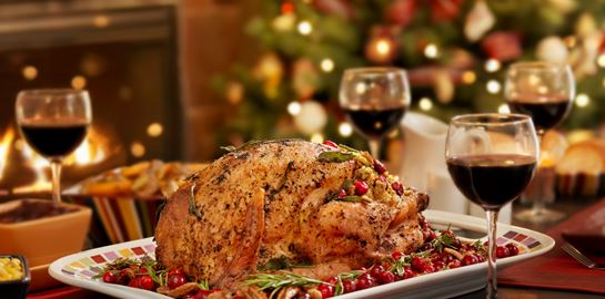 Όλα για τη γαλοπούλα