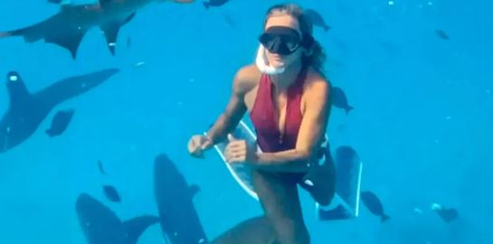 Εκατομμύρια άνθρωποι είδαν τον καρχαρία που δάγκωσε influencer (video)