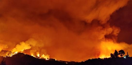 60.000 στρέμματα κάηκαν σε 4 μέρες, ο απολογισμός του Αστεροσκοπείου Αθηνών