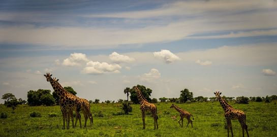 Τι μαθαίνεις κάνοντας φωτογραφικό σαφάρι στην Αφρική και μερικές υπέροχες εικόνες