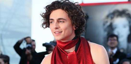 Ο Timothée Chalamet εμφανίστηκε με εξώπλατο, το σύμπαν παραληρεί