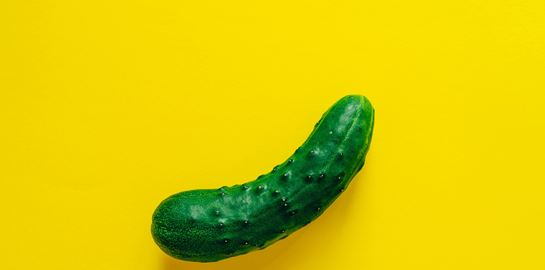 Η επιστήμη της πίκλας