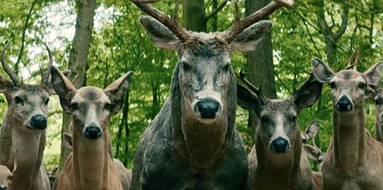 Τι &#39;τρέχει&#39; με τα ελάφια στο &#39;Άσε τον Κόσμο Πίσω&#39; στο Netflix