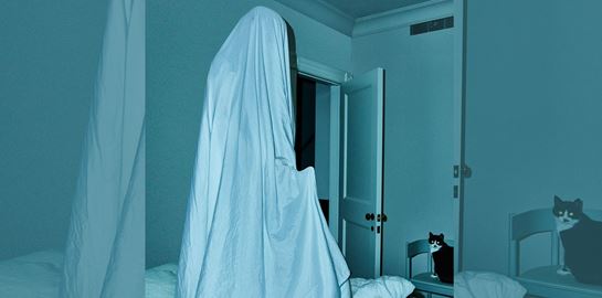 Tι είναι πάλι αυτή η Sexsomnia