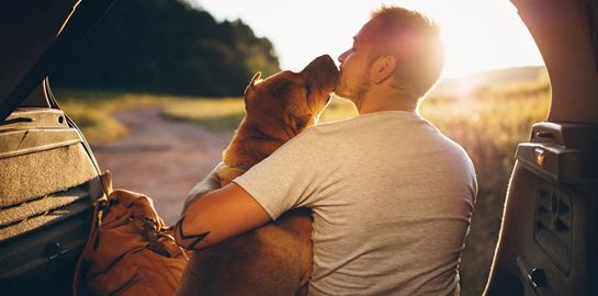 Ένα αντιγηραντικό φάρμακο για σκύλους μας δίνει ελπίδες