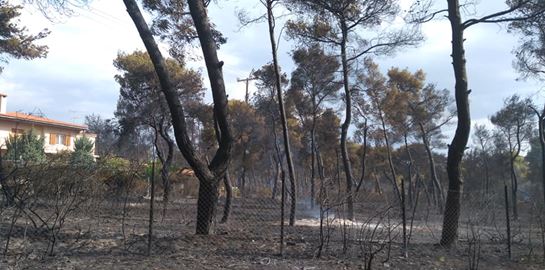Σήμερα η απόφαση του δικαστηρίου για τη φονική πυρκαγιά στο Μάτι