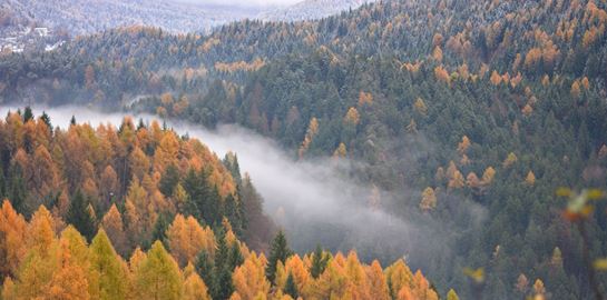 Οι πυρκαγιές στη Σιβηρία προκάλεσαν ρεκόρ εκπομπών διοξειδίου του άνθρακα