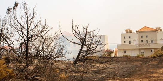 Βελτιωμένη η εικόνα των πυρκαγιών σε Μαγνησία, Λαμία, Ρόδο