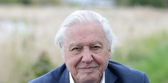 Το μήνυμα-ευχή του Sir David Attenborough για το 2021