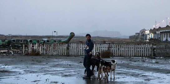 Dogman: Η ιταλική ταινία στο Ertflix που αξίζει να δείτε πριν κατέβει