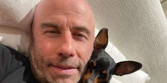 Οι φιλόζωοι διάσημοι του Χόλιγουντ