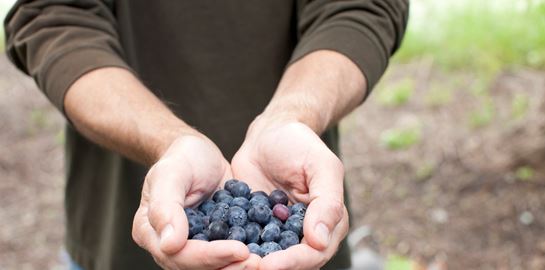 8+1 τροφές για ενδυνάμωση των μυών
