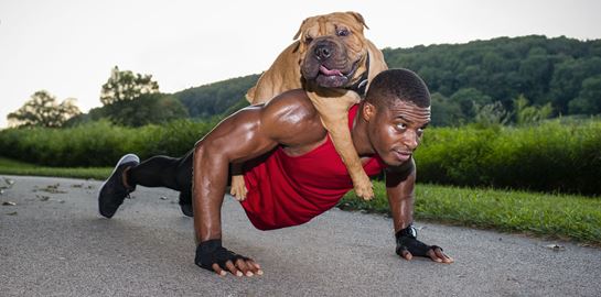 Γιατί ο σκύλος είναι ο καλύτερος προπονητής του ανθρώπου