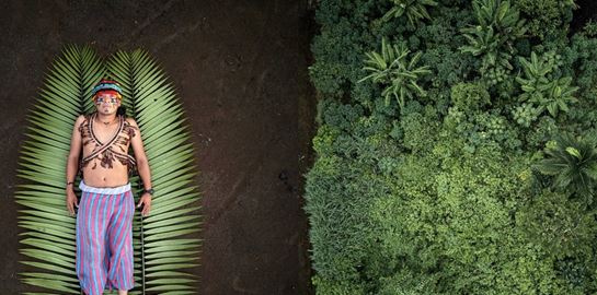 Sony World Photography Awards: Οι καλύτερες φωτογραφίες του 2020