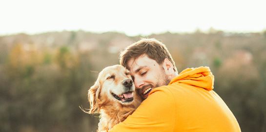 Μία dream job για όσους αγαπούν τα σκυλιά