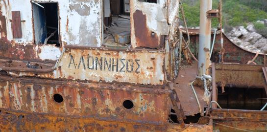 Η φώκια Κωστής έγινε ντοκιμαντέρ