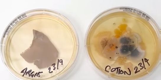 Άπλυτη μαξιλαροθήκη vs κάθισμα τουαλέτας: Πού κατοικούν περισσότερα βακτήρια;