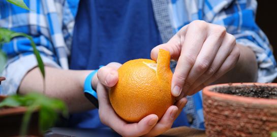 Tο &#39;οrange peel theory&#39; είναι το νέο &#39;τεστ&#39; σχέσεων που πρέπει να ξέρεις