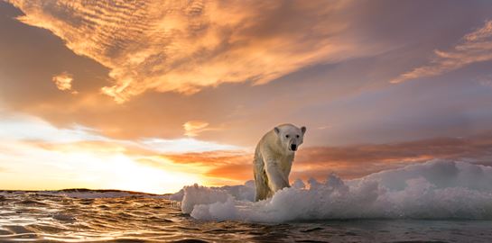 Η μεγαλύτερη αποστολή του κόσμου για την κλιματική αλλαγή στην Αρκτική