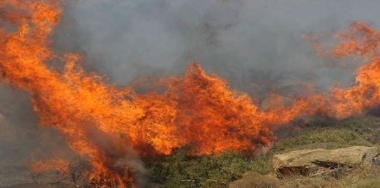 Έως 30.000 ευρώ πρόστιμο στους επίδοξους εμπρηστές φέρνει ο νέος νόμος