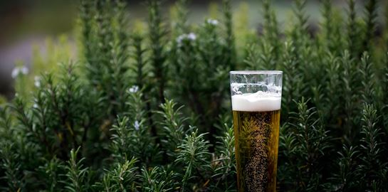 Τι πραγματικά κάνει το αλκοόλ στην πρόοδό σου από το γυμναστήριο