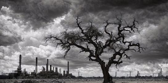 Αυτή η έρευνα δεν είναι καθόλου αισιόδοξη για το μέλλον της ανθρωπότητας